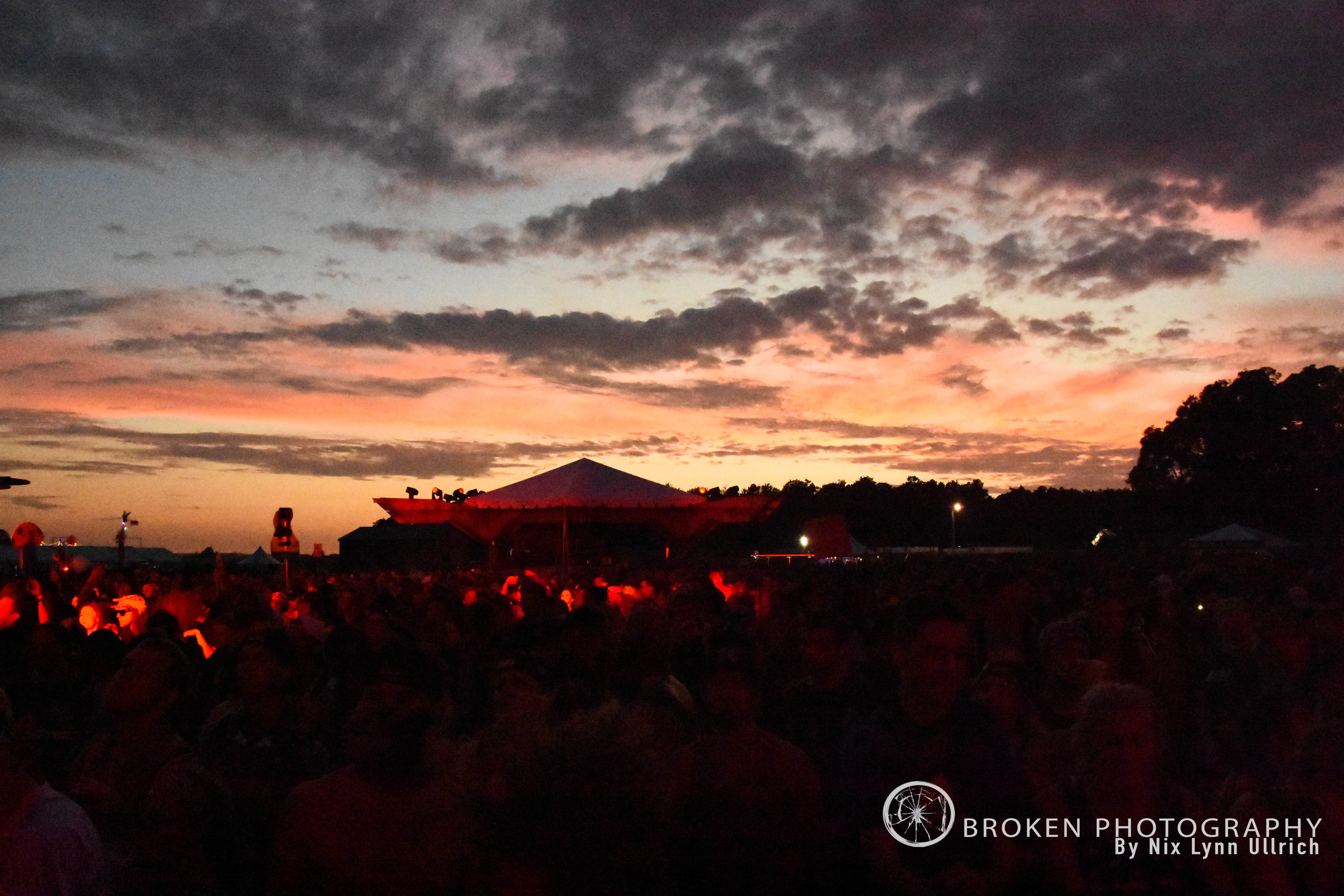 BP_Forest011.jpg