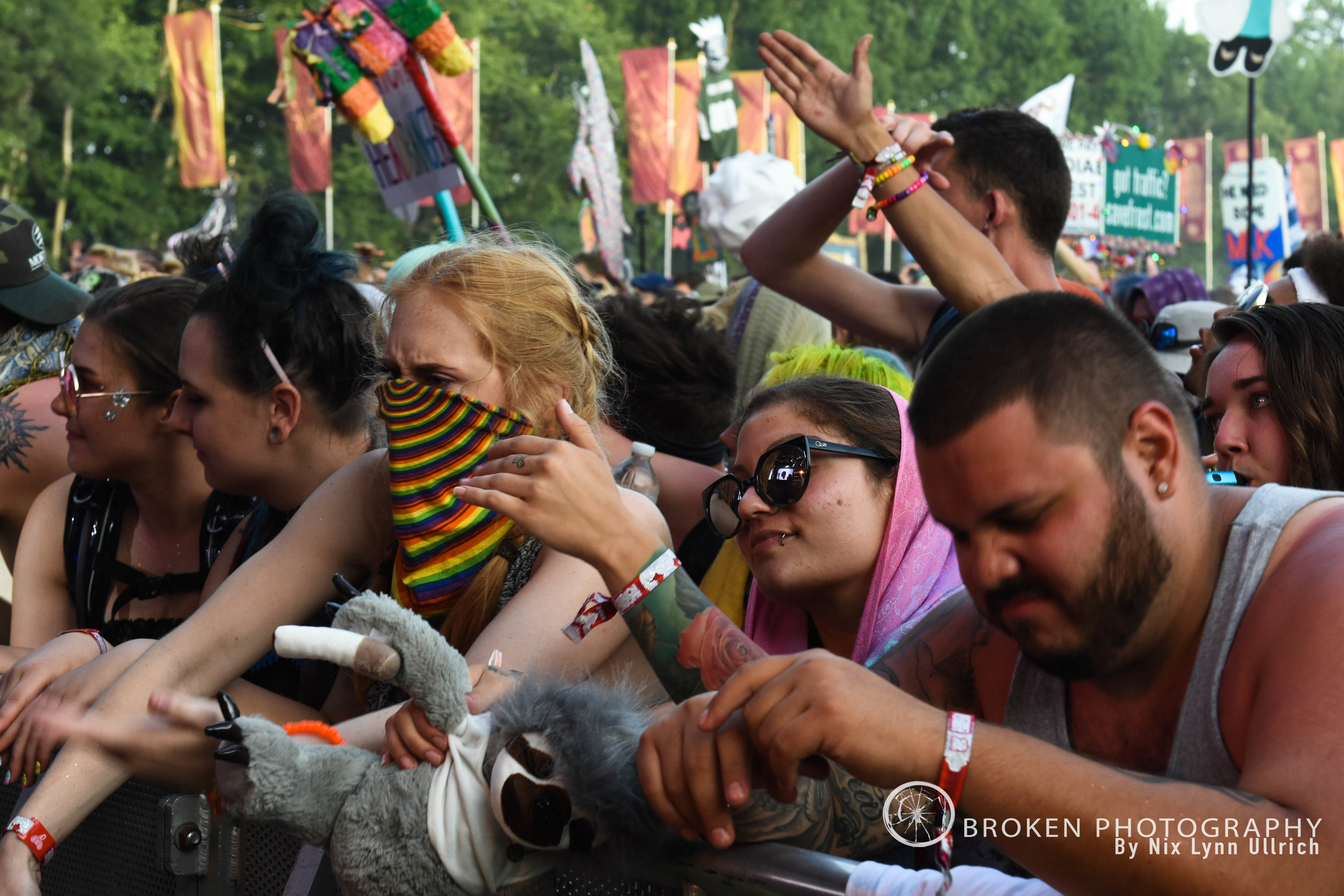 BP_Forest028.jpg