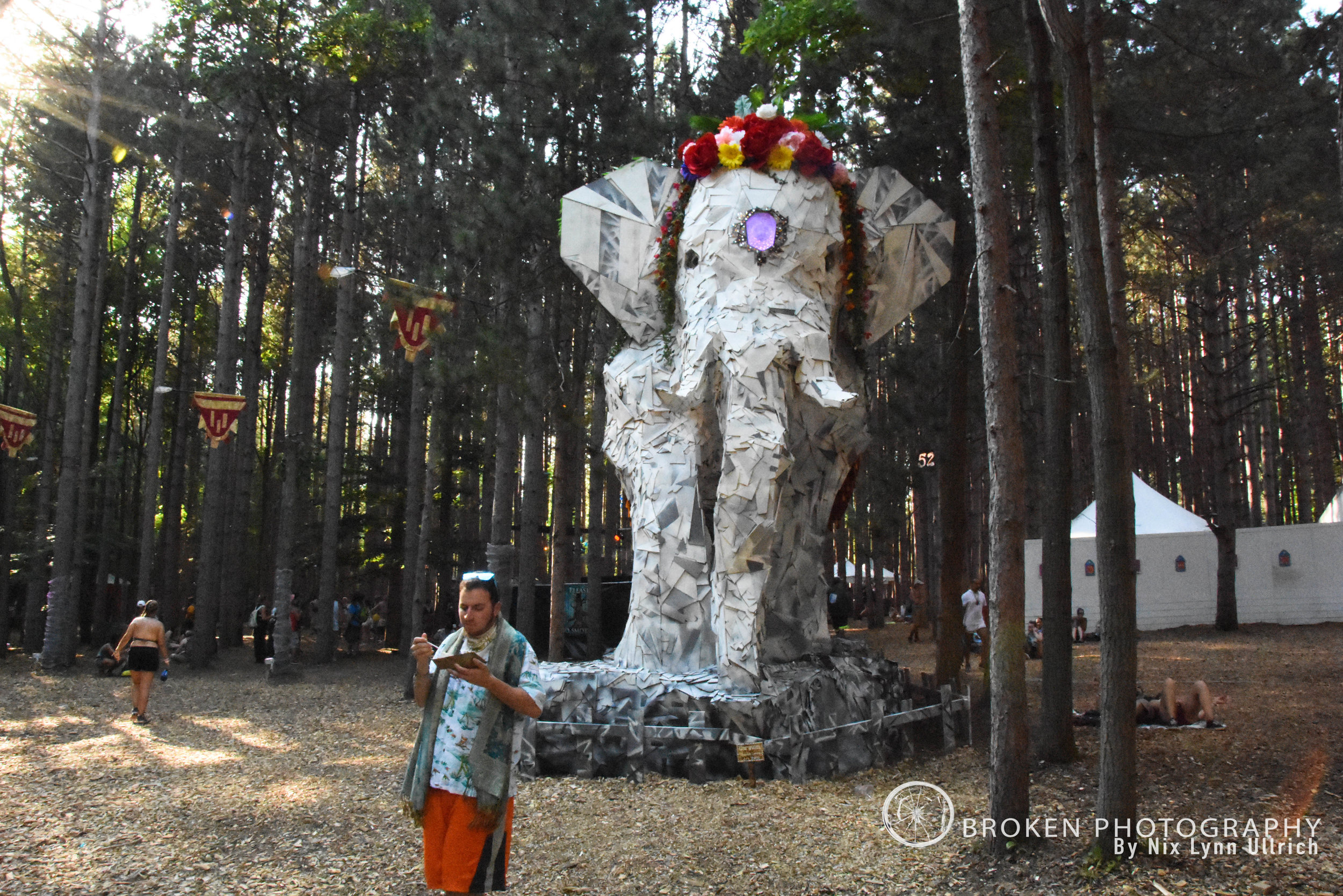 BP_Forest033.jpg