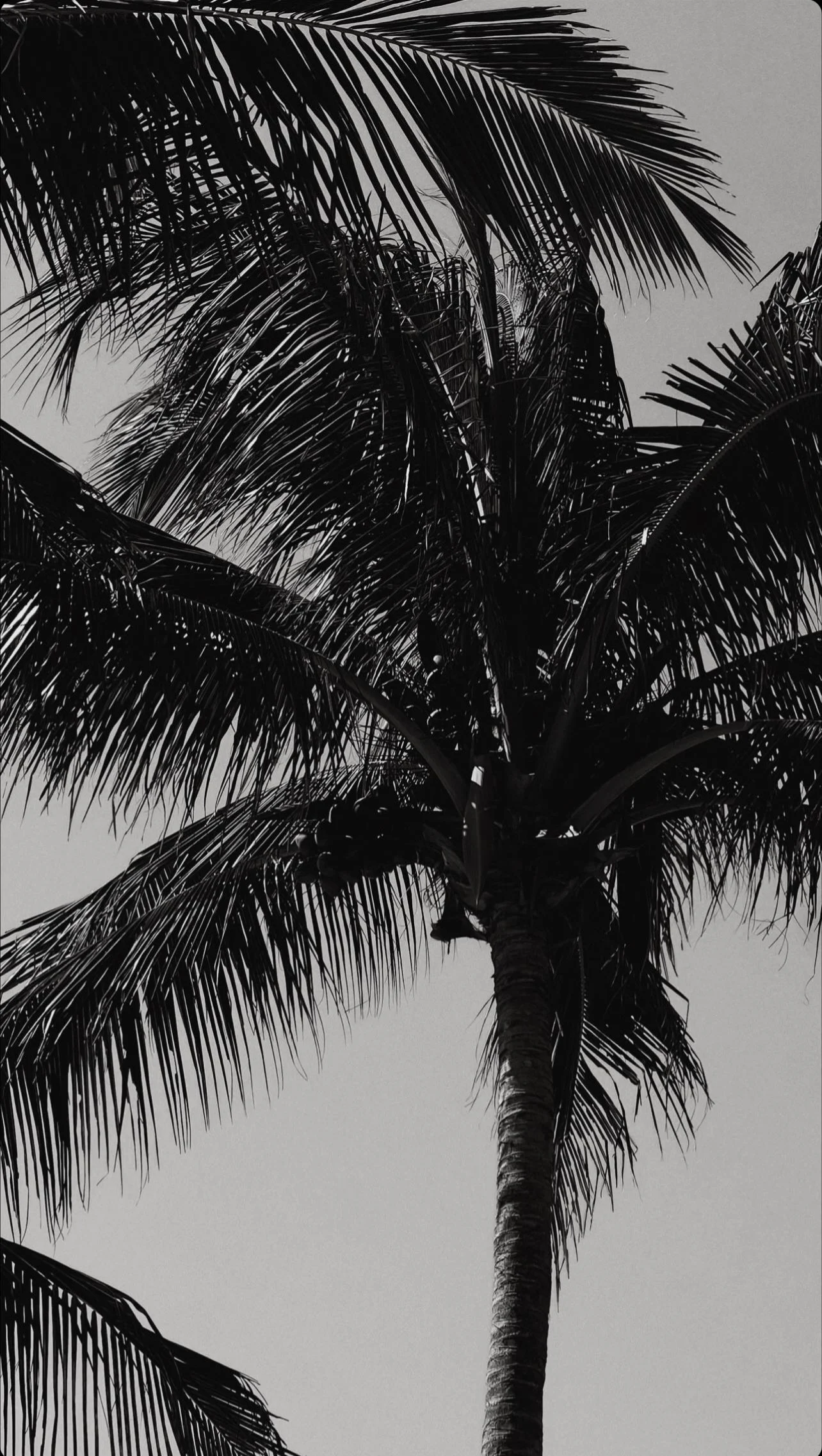 E7472ABA-3A99-4927-B9E9-DCED608F1B7D_1_201_a.jpeg