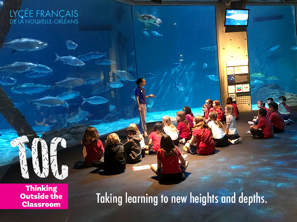 1819_TOC_Aquarium_Deveille.png
