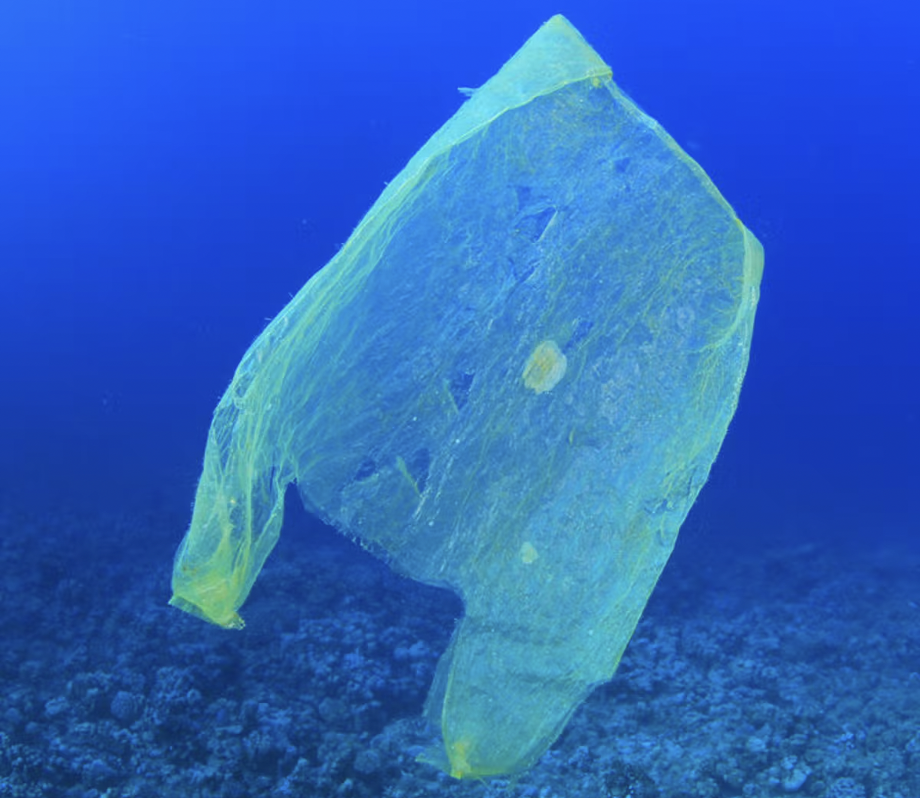 bag-in-ocean.png