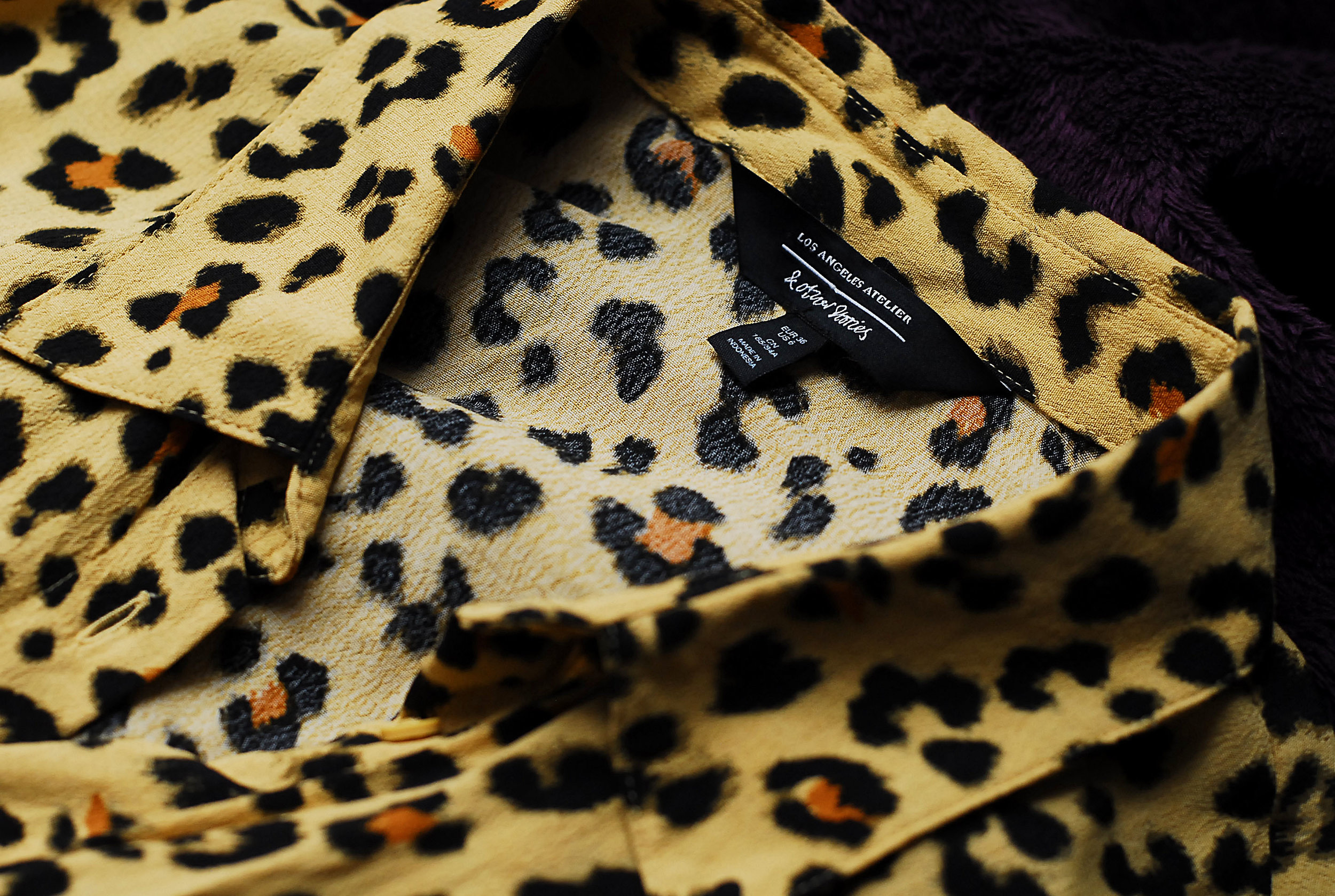 & Other Stories2.JPG