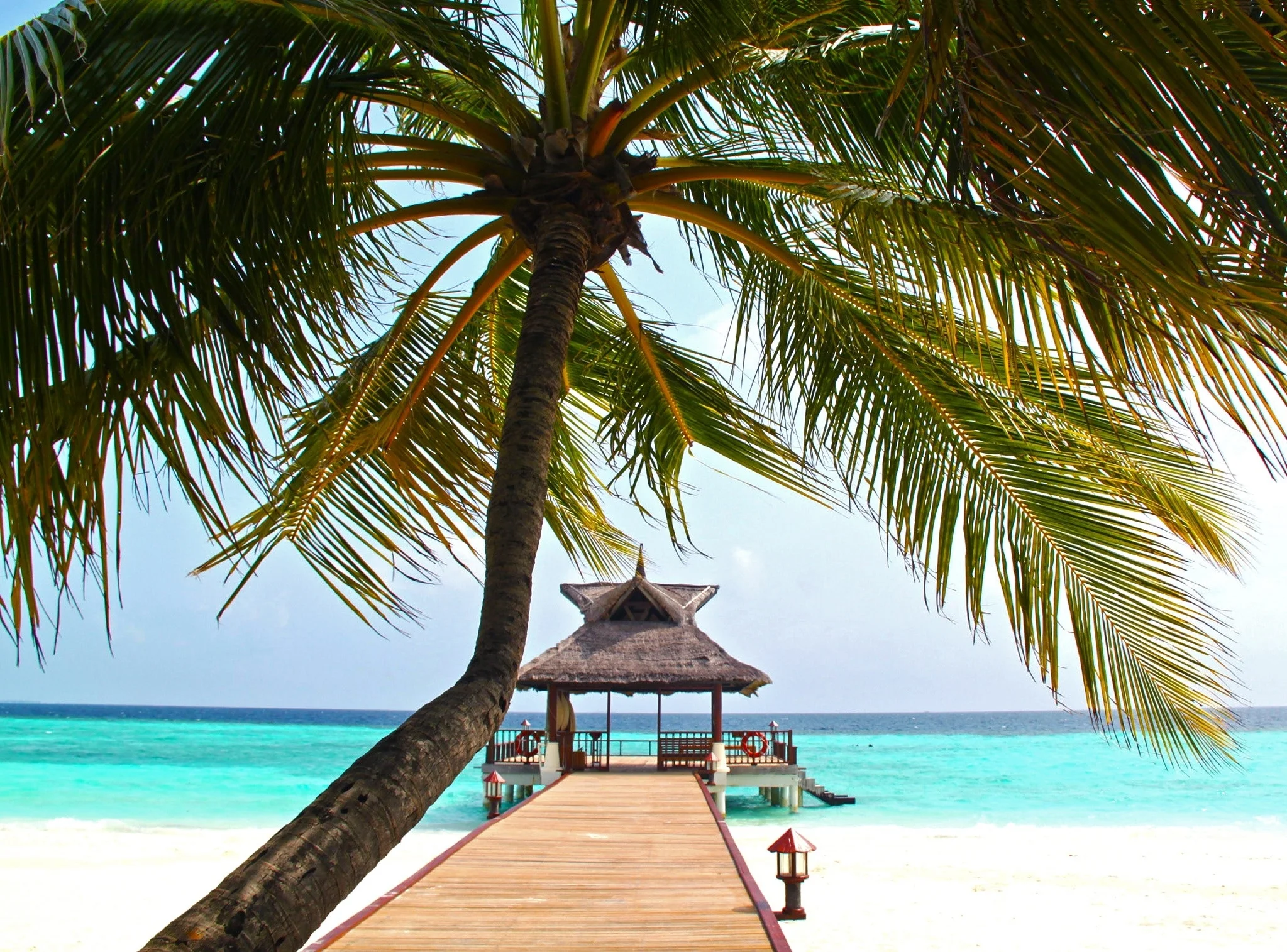 beach-beautiful-blue-279574.jpg