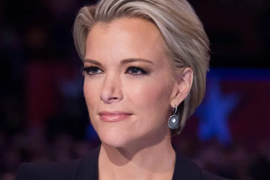 Report - Roger Ailes Also Sexually Harassed Megyn Kelly??