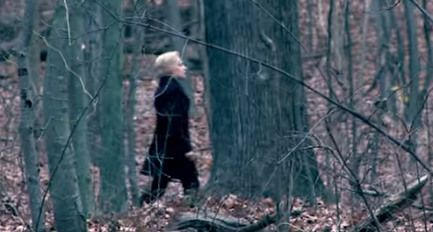 Hillary Clinton Should Stay in the Woods