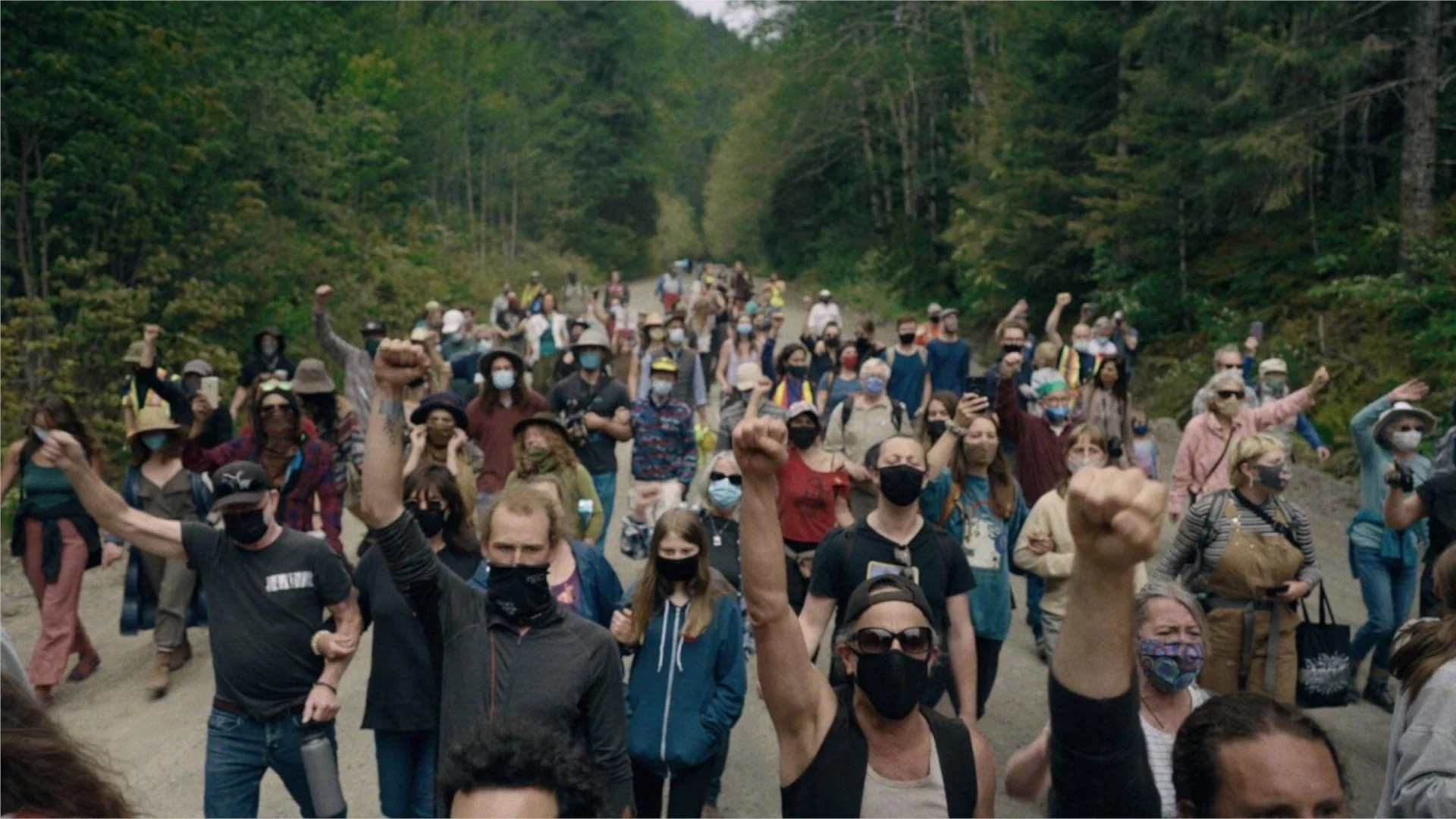fairy creek protest_1920-1080.jpeg