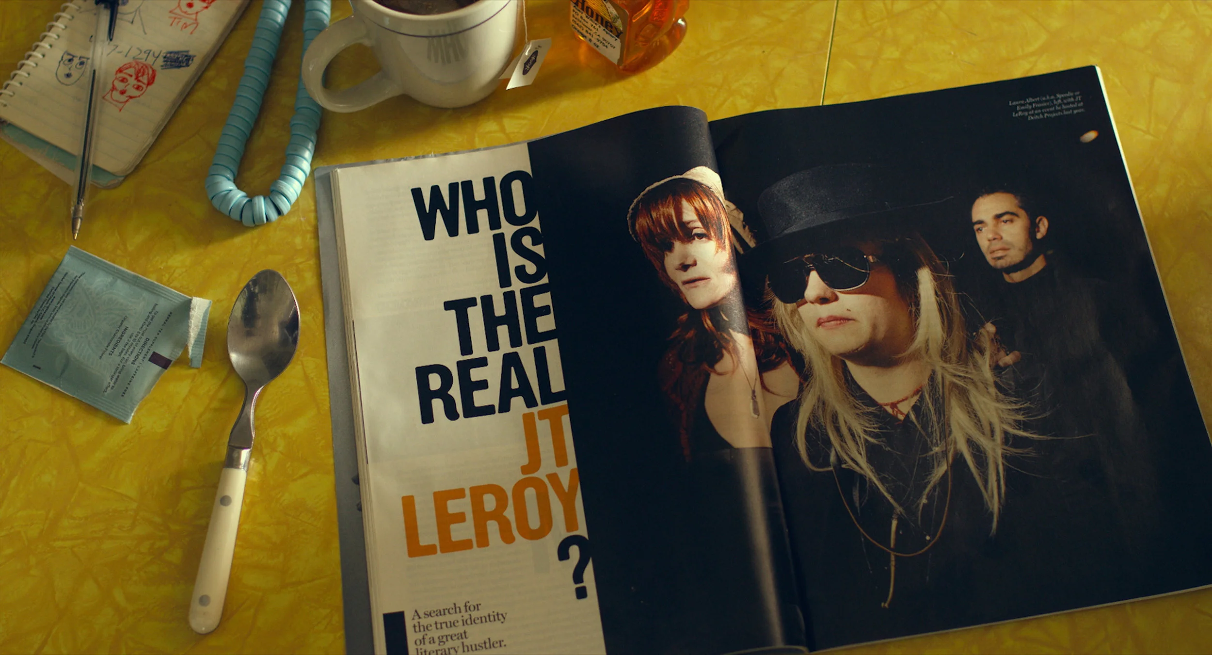 Author: The JT LeRoy Story (Jeff Feuerzeig)