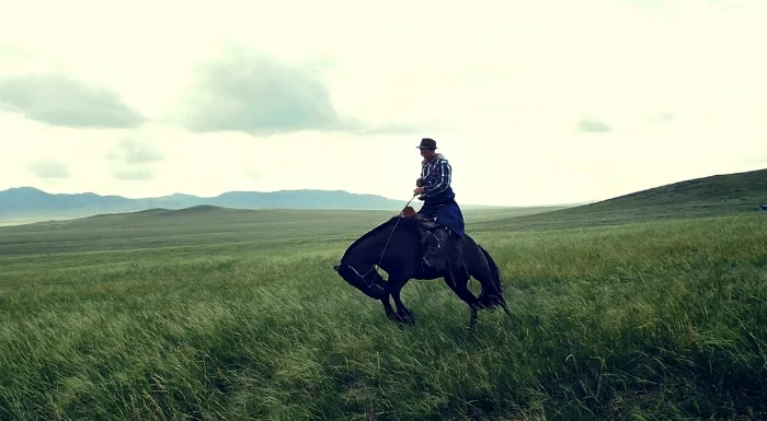 While occasionally ridden, many Steppe horses are kept semi-wild to better ensure their self-sufficiency and survival.