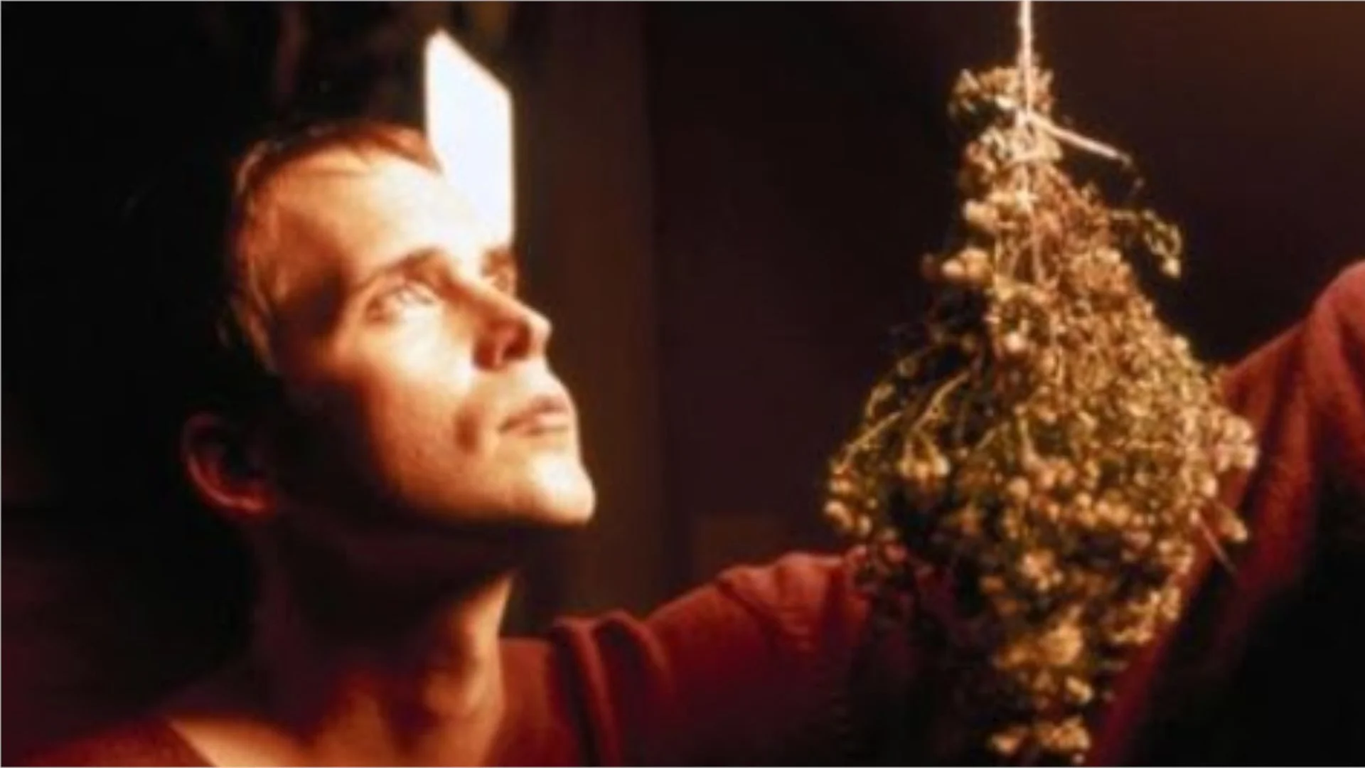 The Hanging Garden (NSRFF Opening Night Film!)