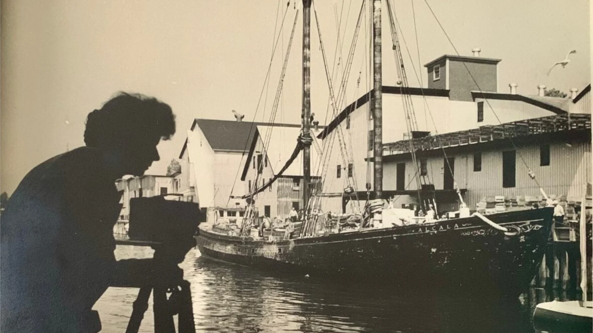 Nova Scotian Vintage Shorts (NSRFF)