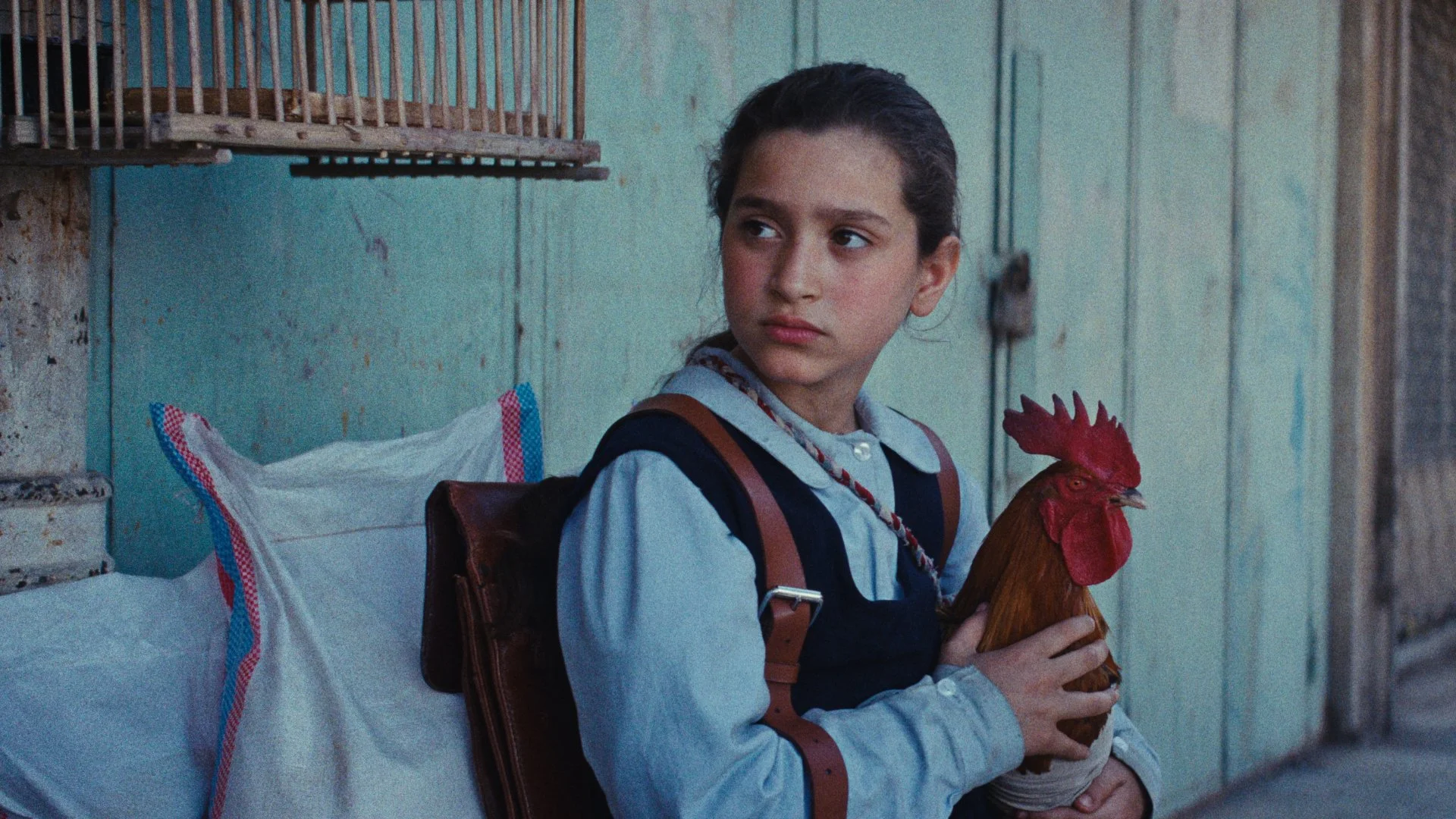 The President's Cake