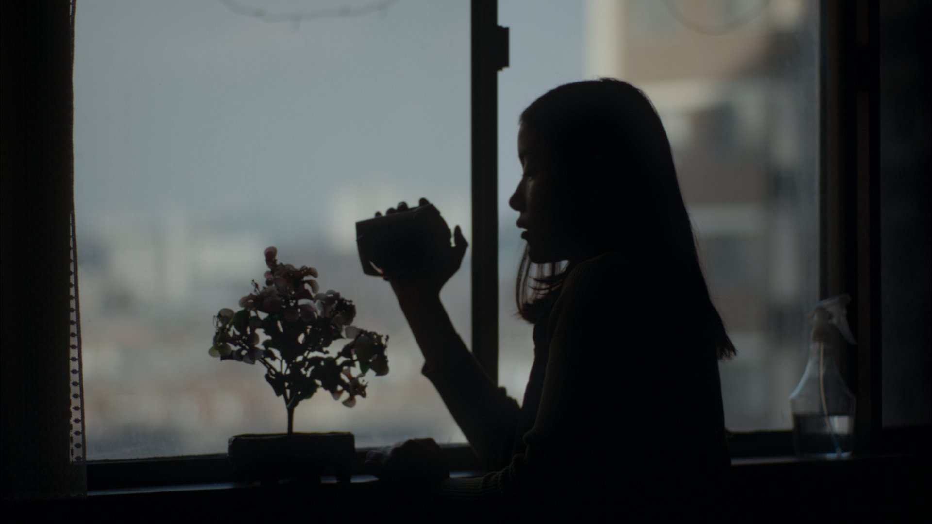 Fleapit Cinema presents: 100 Sunset