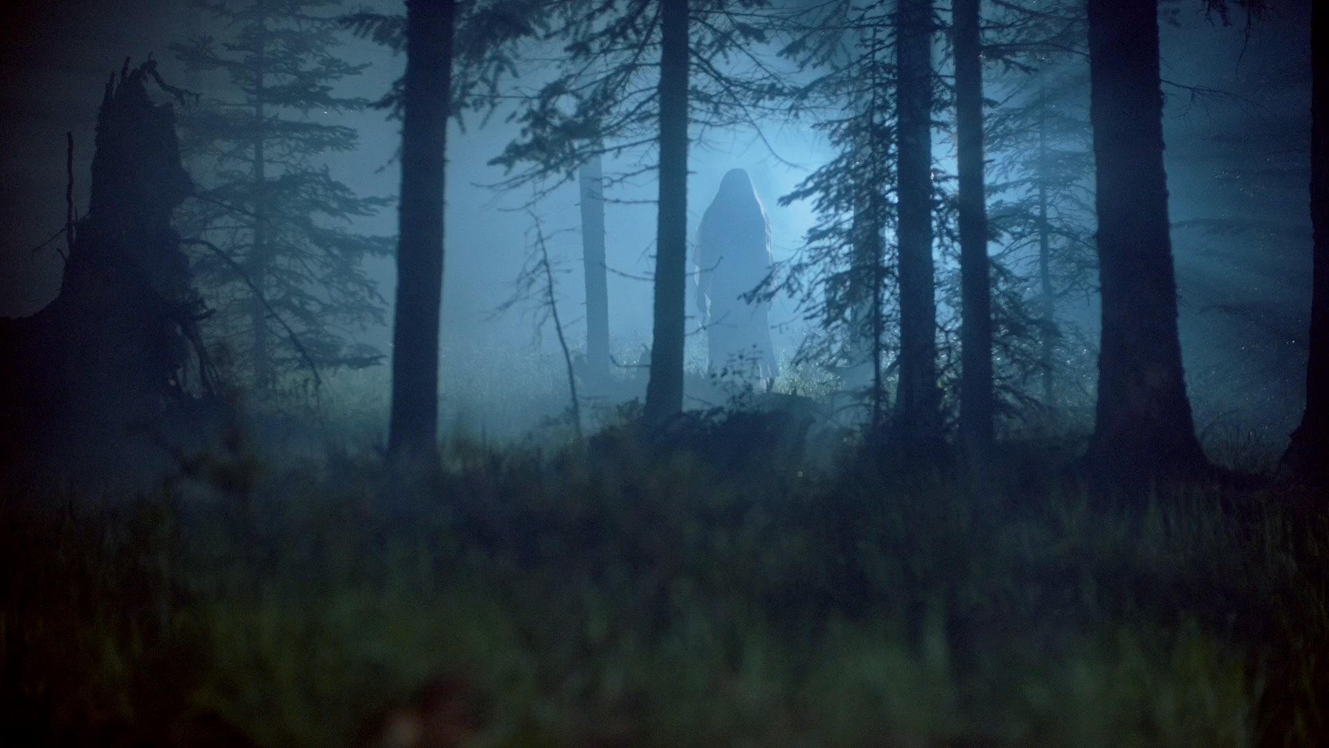 Fleapit Cinema presents: CAMP