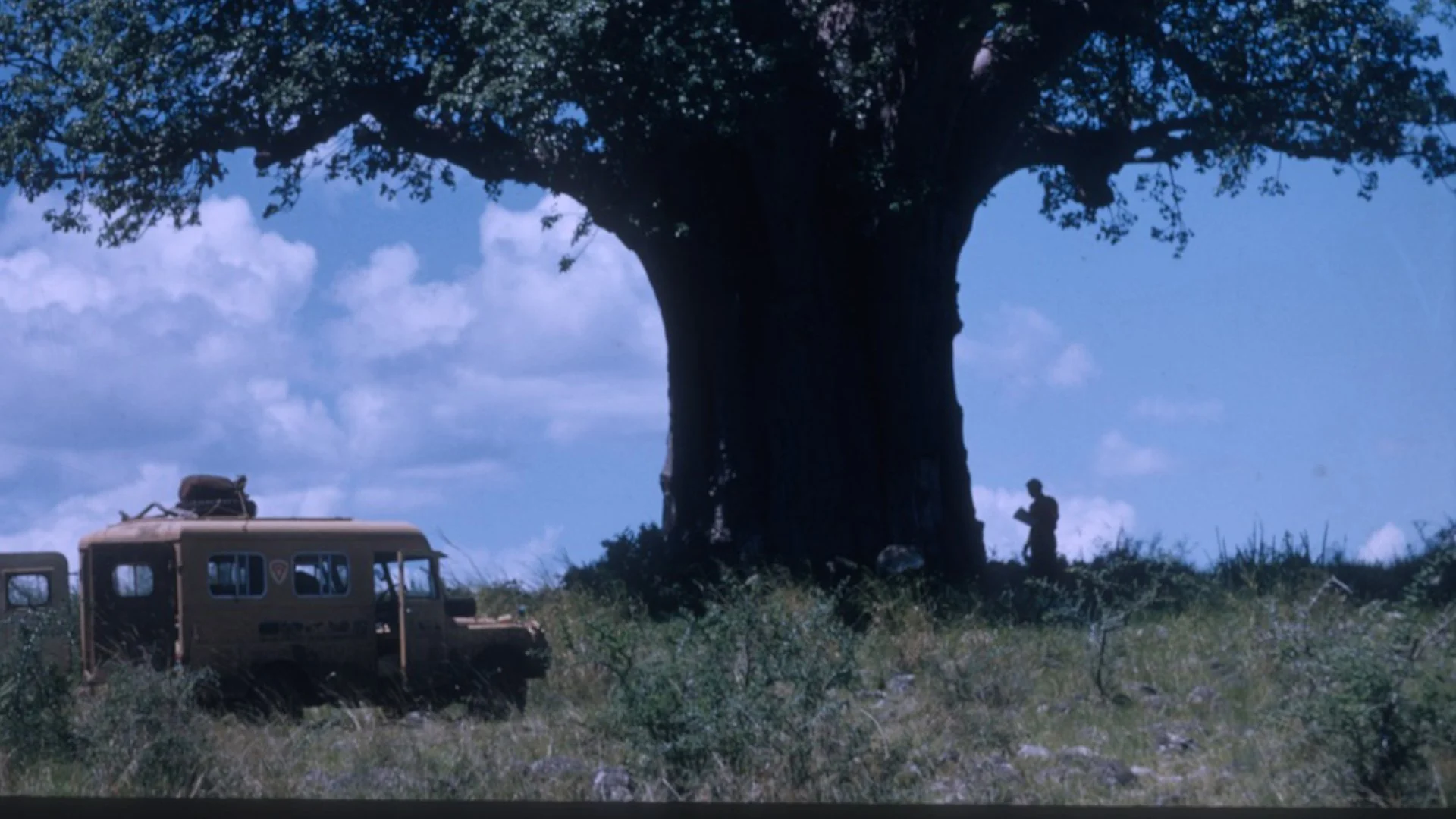 Front_Still_GT_under_massiveTree.jpg