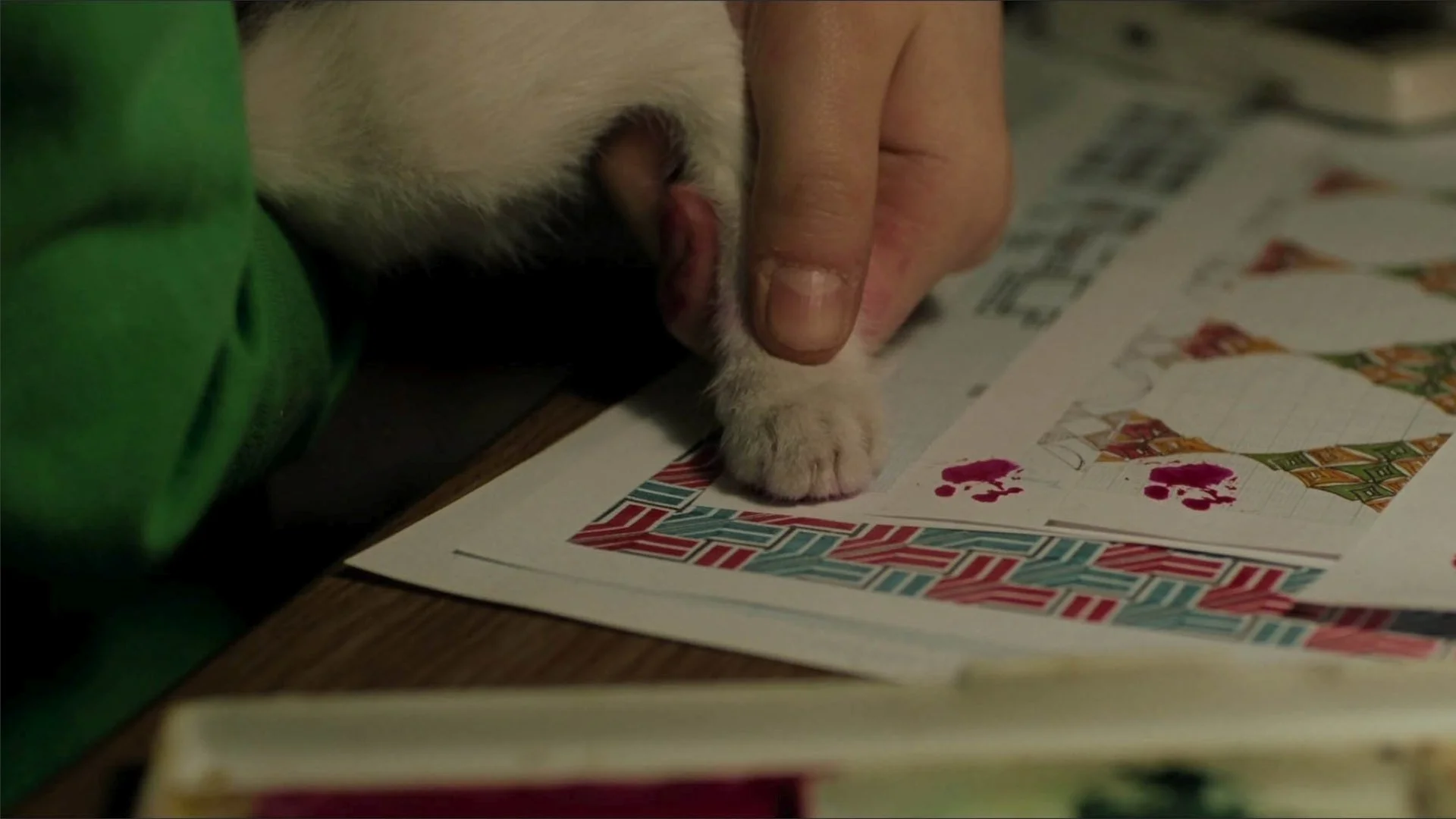 Take-Care-of-My-Cat-catpaw_1920-1080.jpg