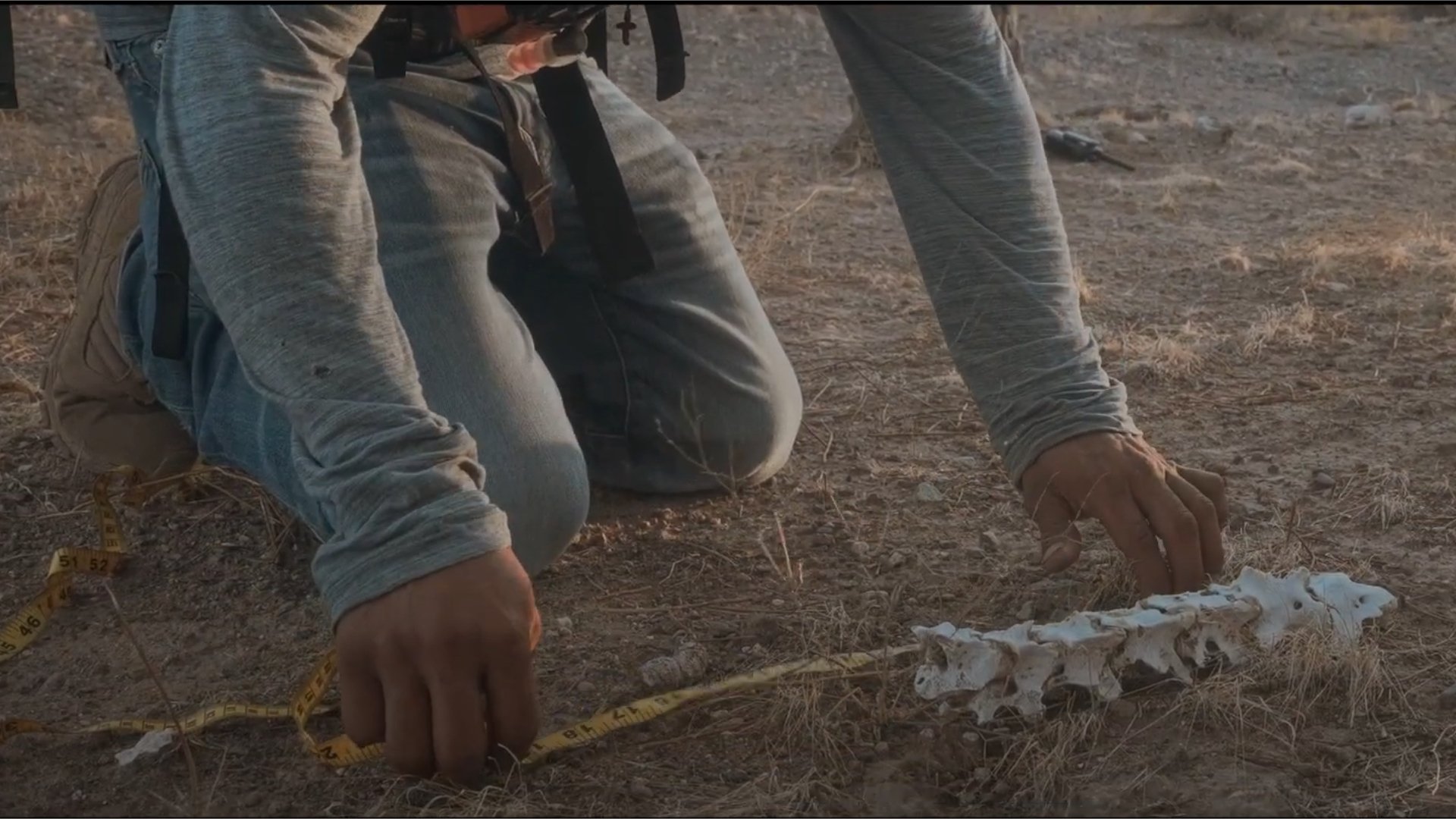 coyote 3-1920-1080.jpg