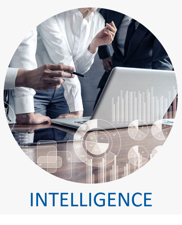 IntelligenceGraphic.png
