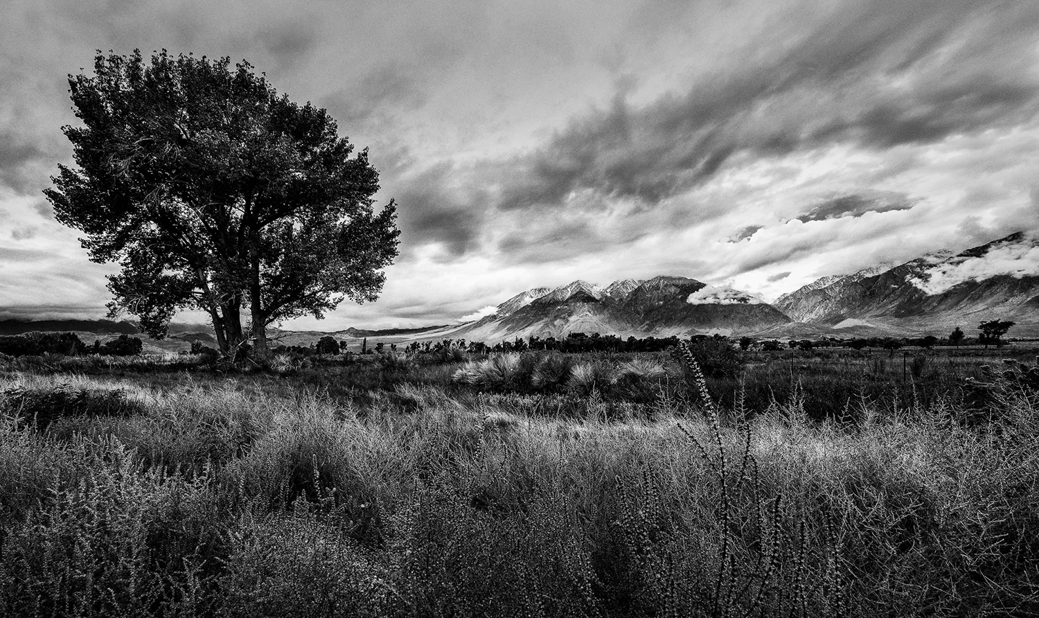 Bishop, California 2015