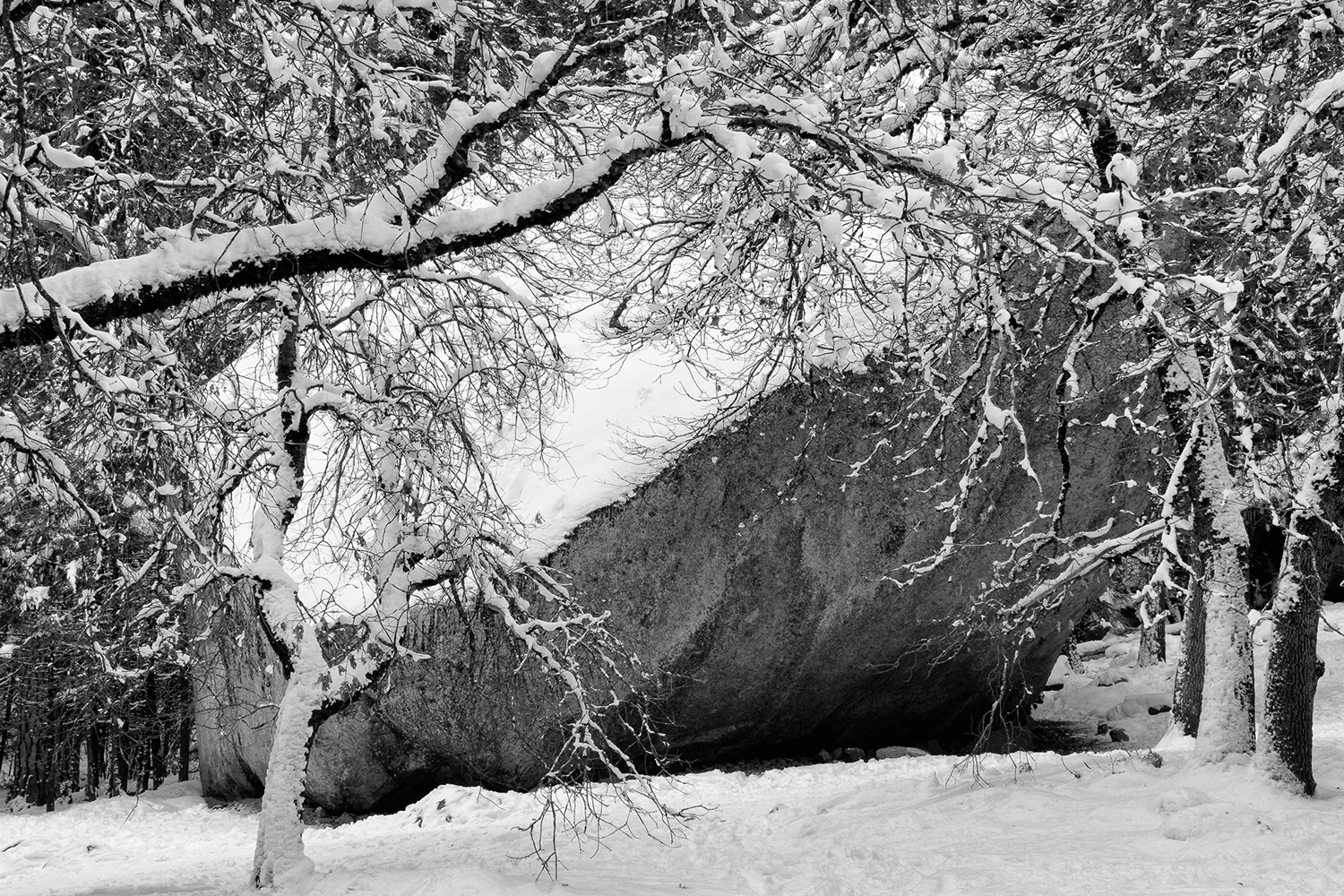 Yosemite National Park, California 2016