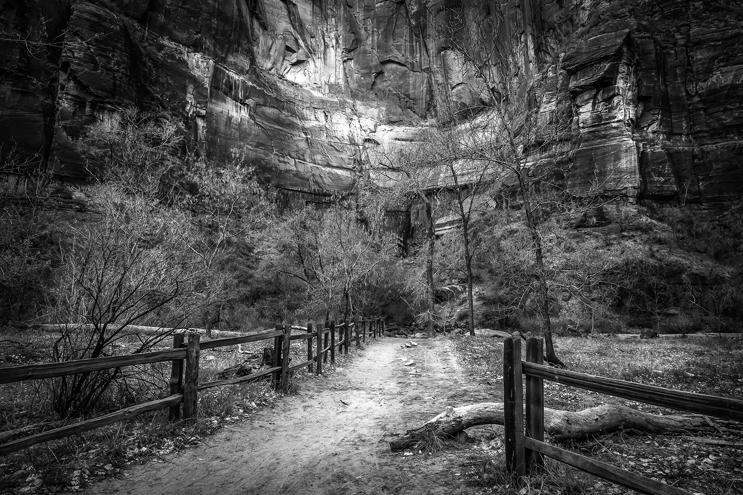 Zion National Park, Utah 2007