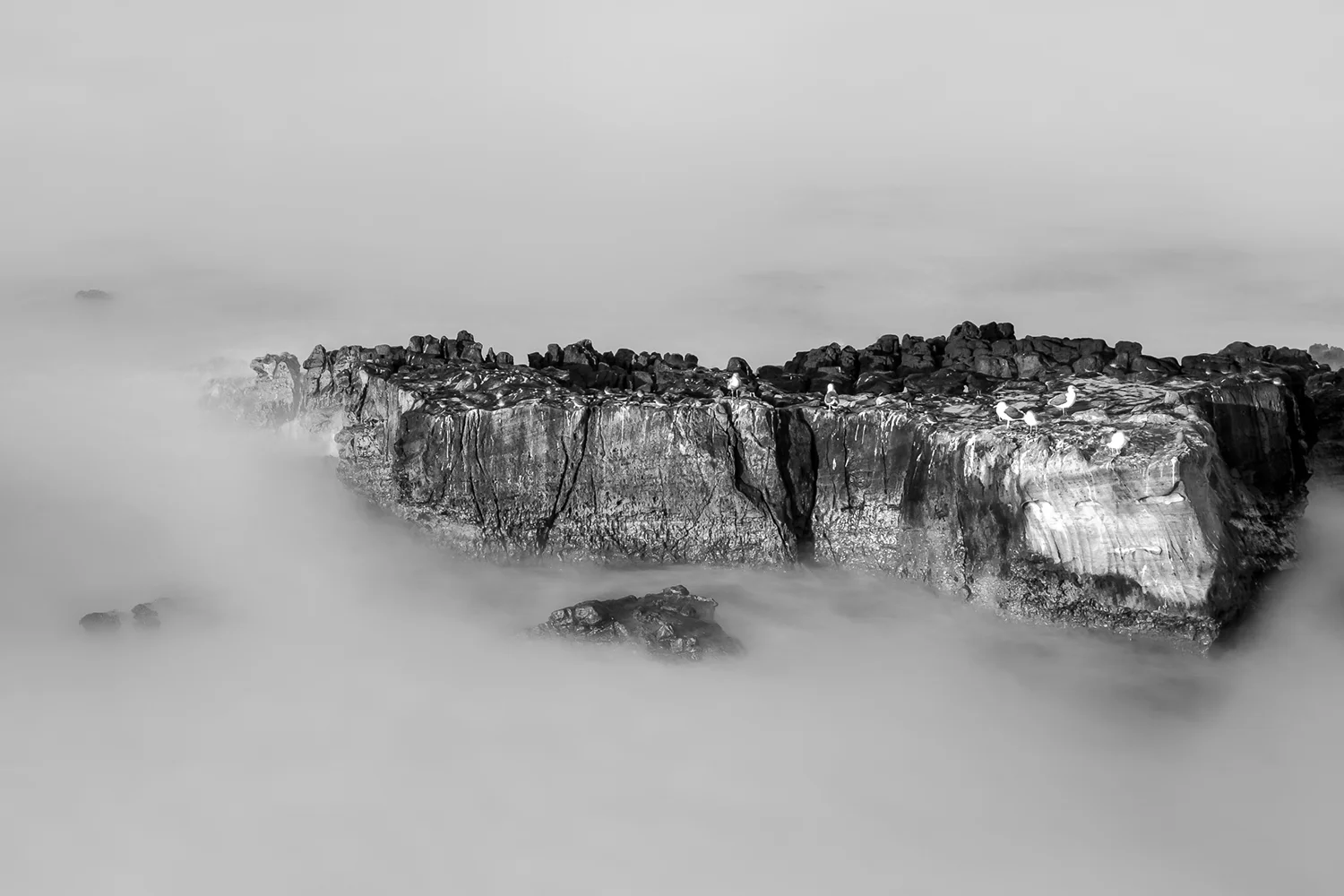 Laguna Beach, California 2009