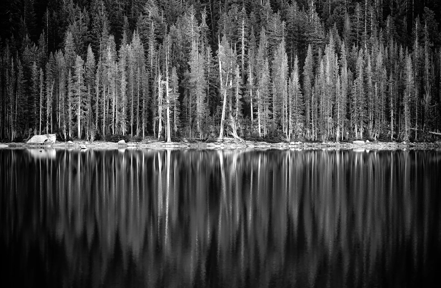 Yosemite National Park, California 2009