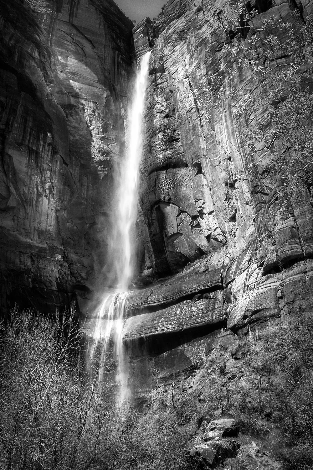 Zion National Park, Utah 2005