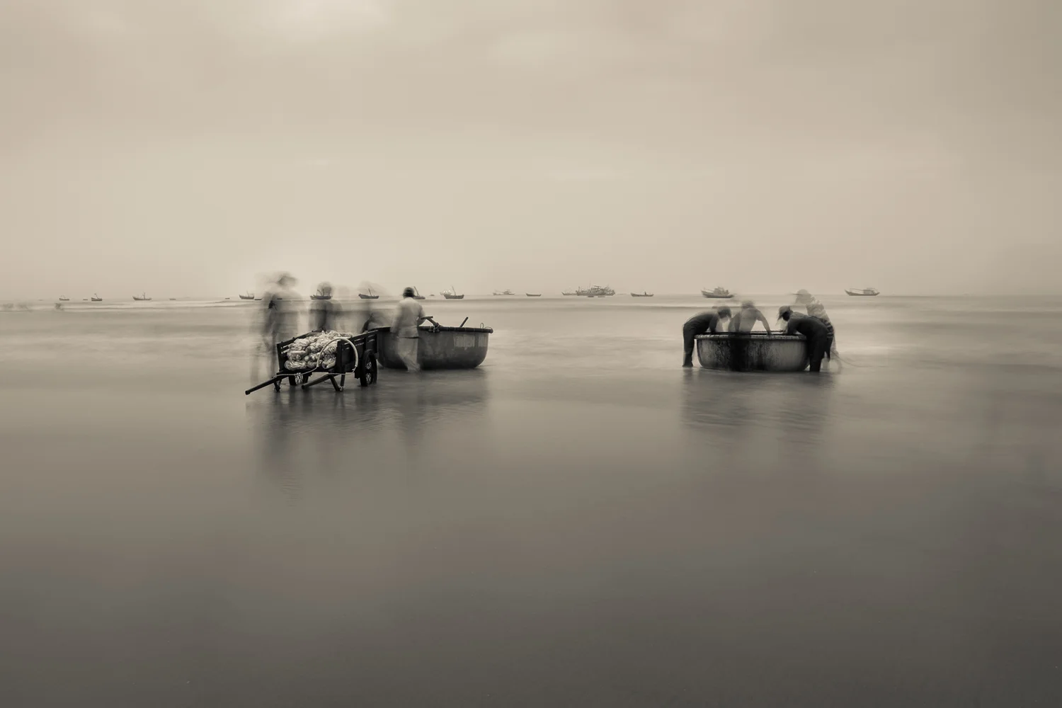 Long Hai Fish Market, Vietnam 2014