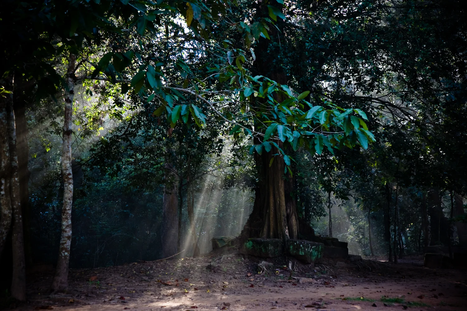 Bayon Temple, Siem Reap, Cambodia