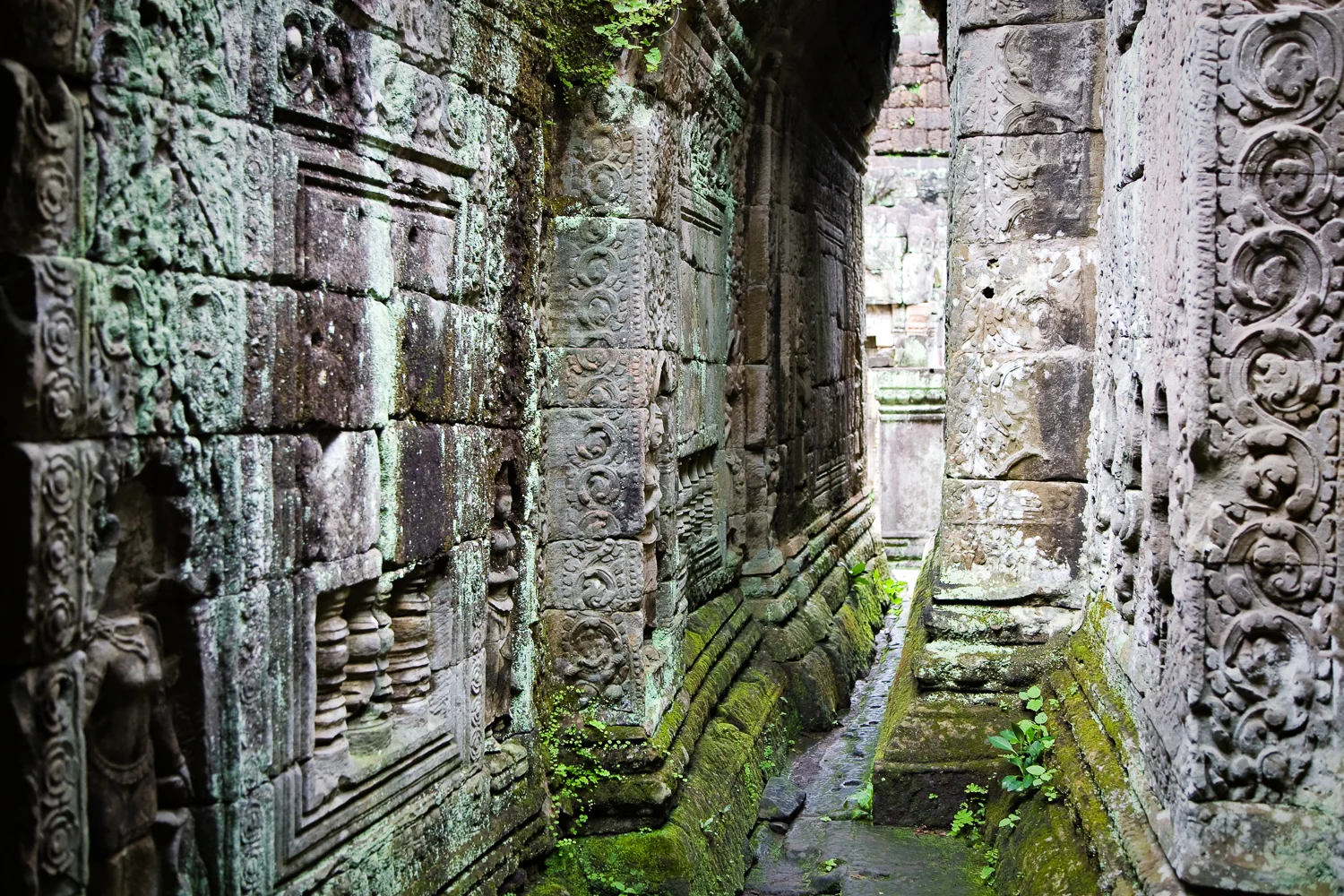 Preah Khan Temple, Angkor, Cambodia