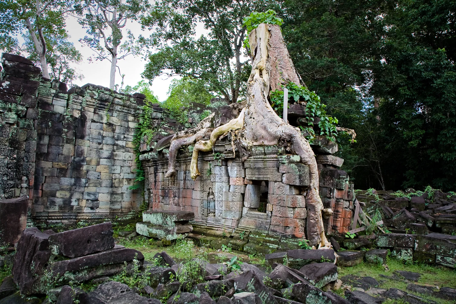 Preah Khan Temple, Angkor, Cambodia