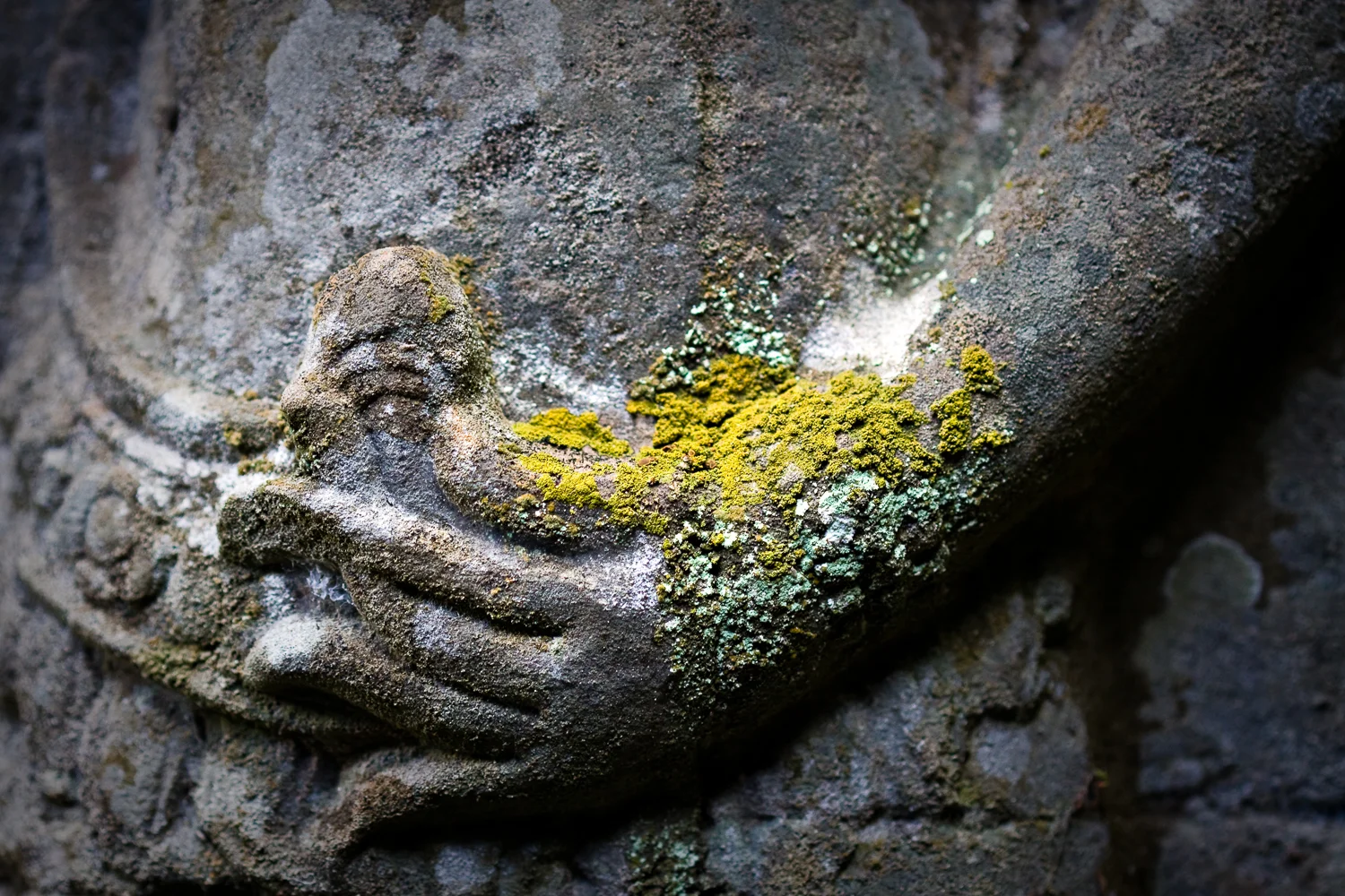 Preah Khan Temple, Angkor, Cambodia