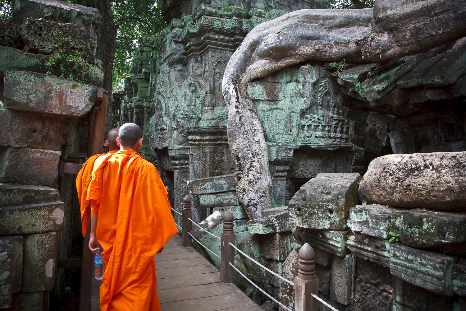 Ta Prohm Temple, Angkor, Cambodia