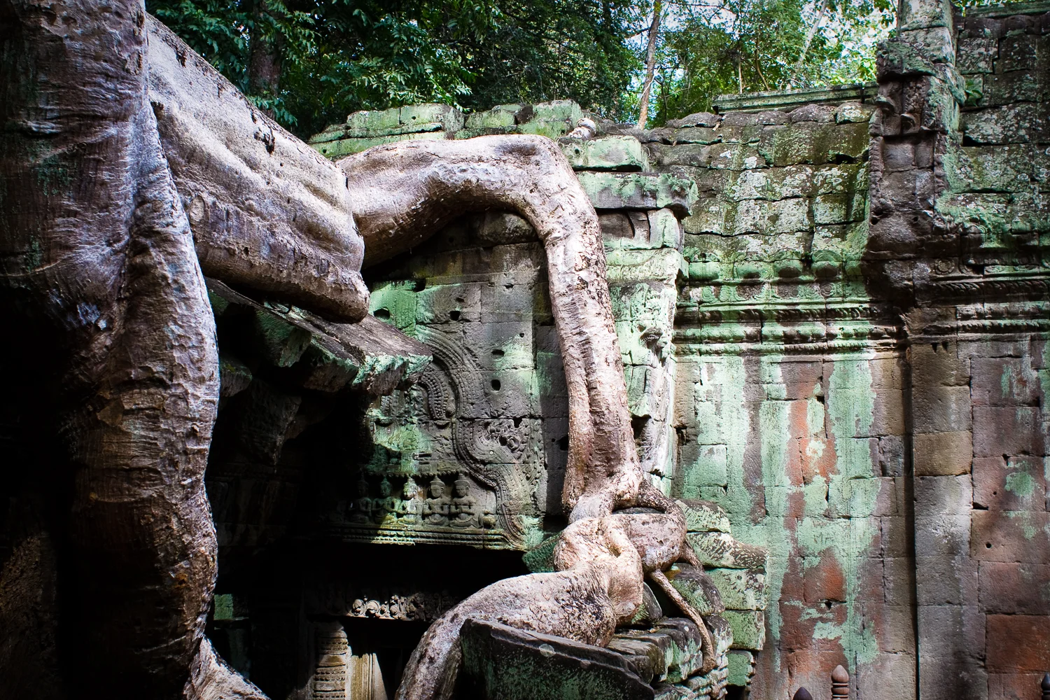 Ta Prohm Temple, Angkor, Cambodia