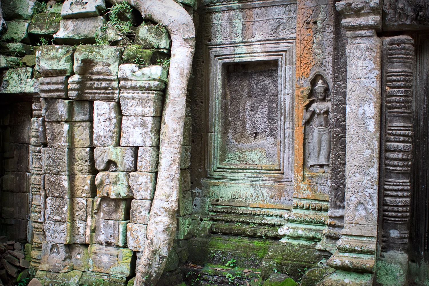 Ta Prohm Temple, Angkor, Cambodia