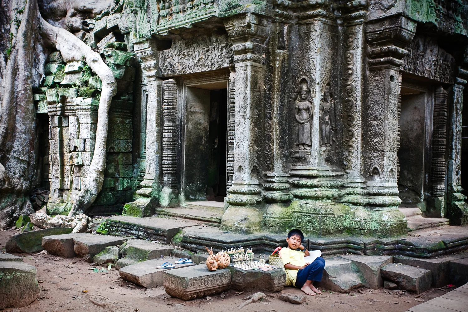 Ta Prohm Temple, Angkor, Cambodia
