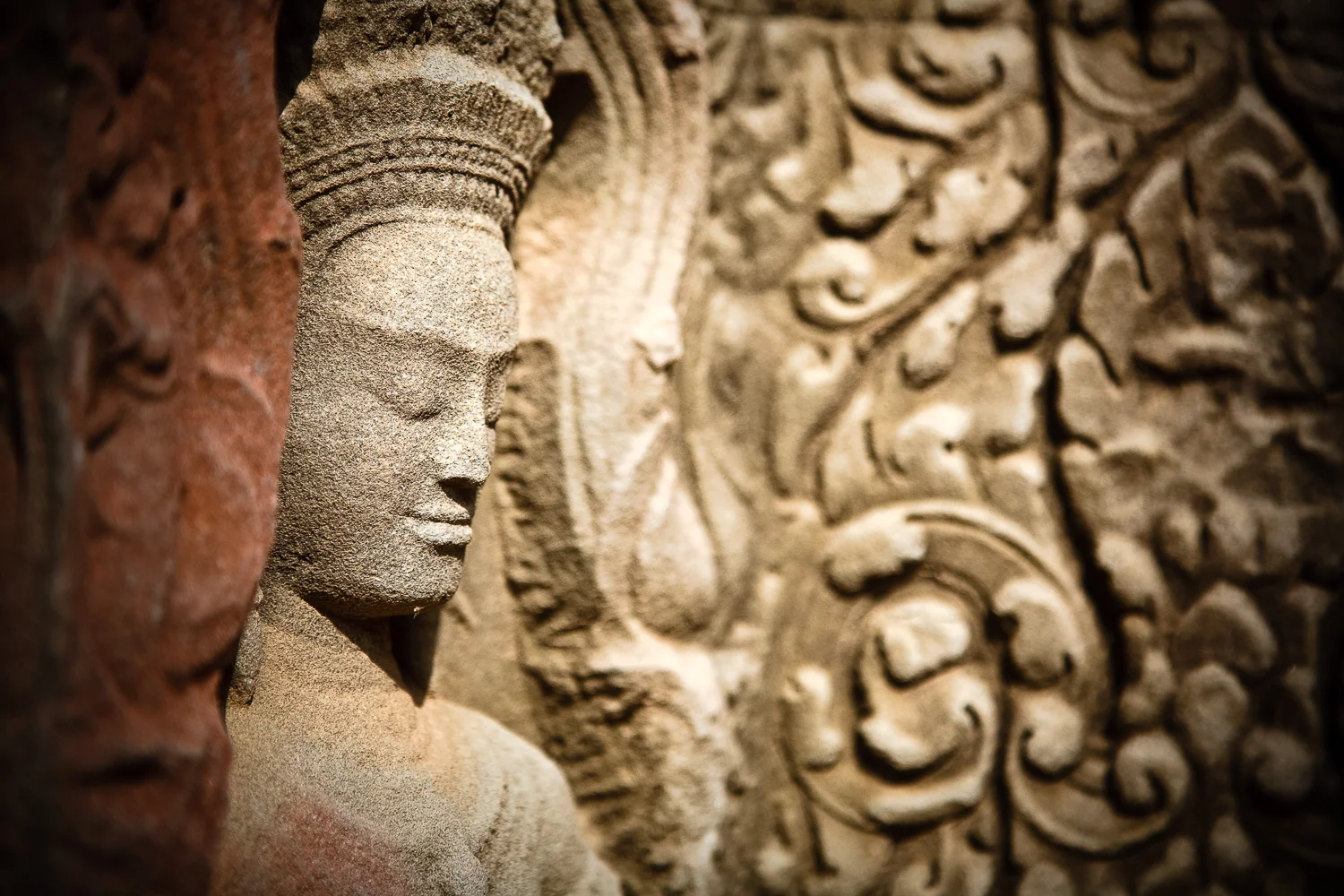 Ta Prohm Temple, Angkor, Cambodia