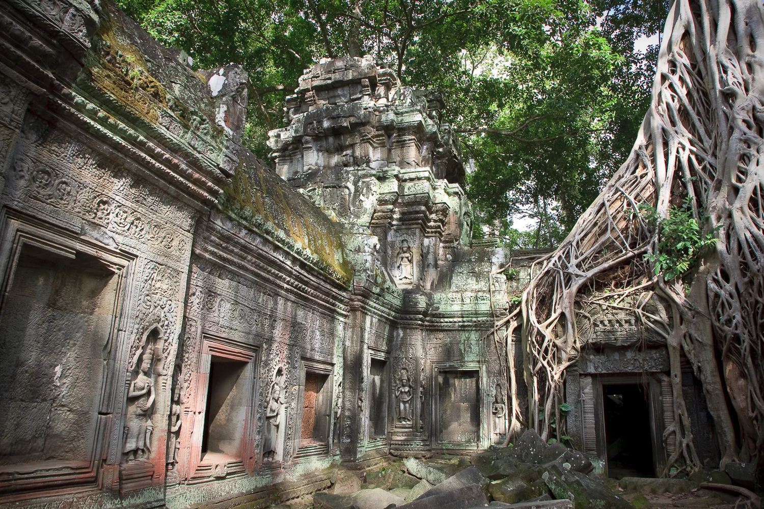 Ta Prohm Temple, Angkor, Cambodia