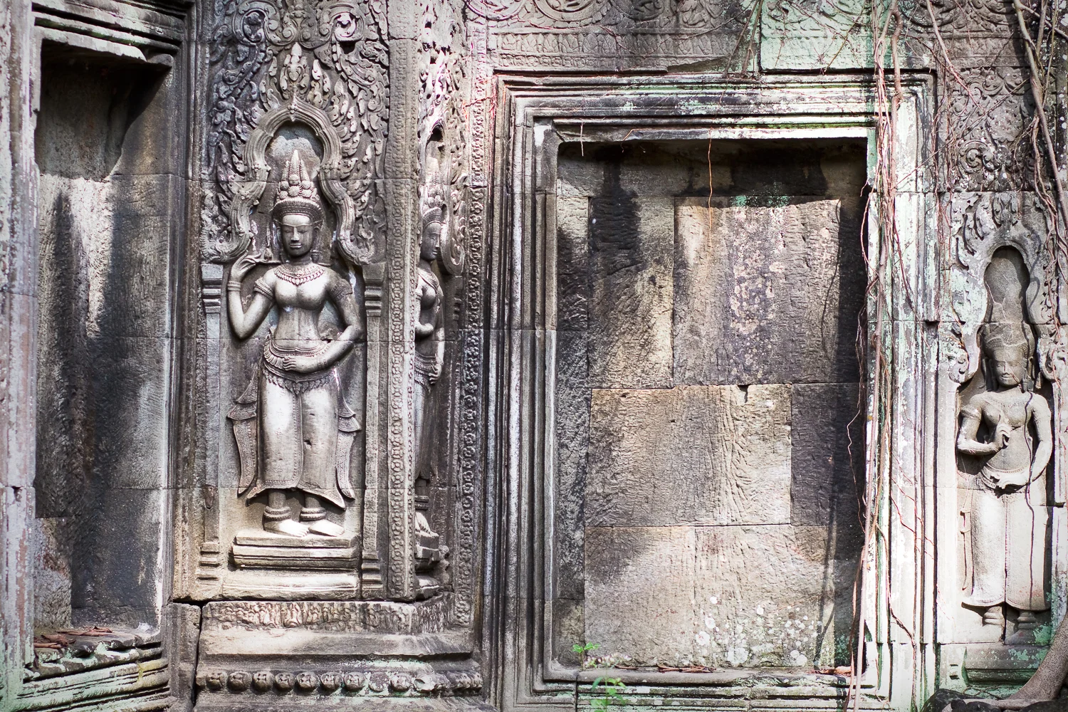 Ta Prohm Temple, Angkor, Cambodia