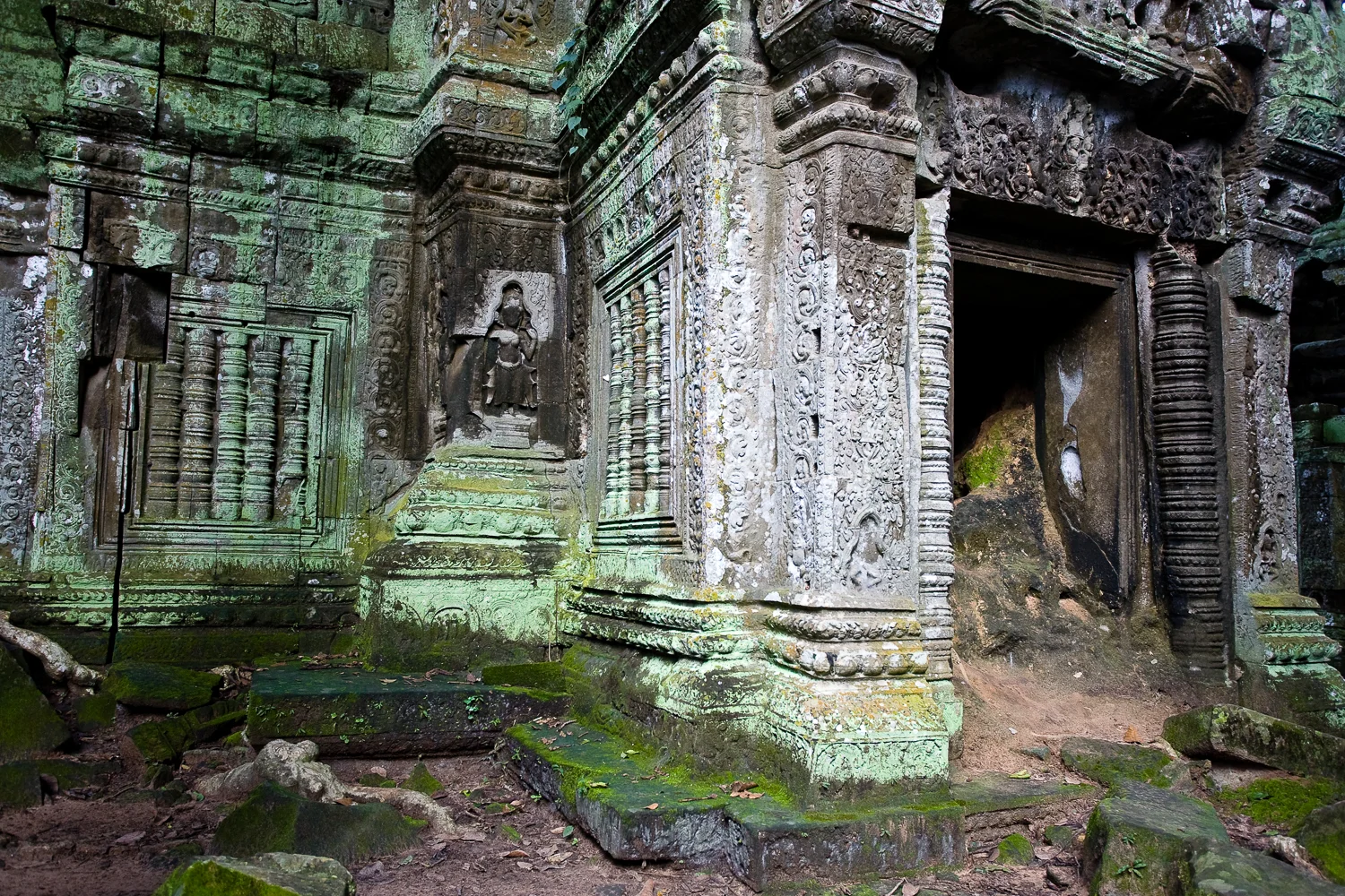 Ta Prohm Temple, Angkor, Cambodia