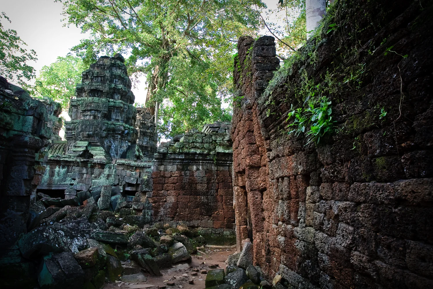 Ta Prohm Temple, Angkor, Cambodia