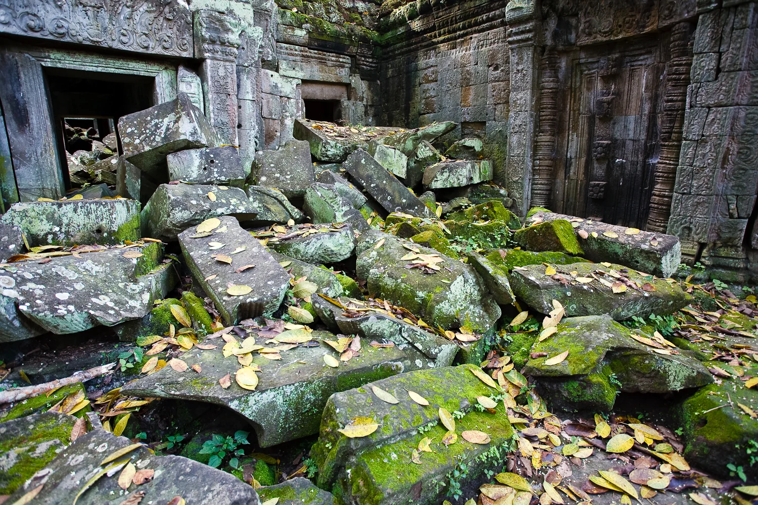 Ta Prohm Temple, Angkor, Cambodia