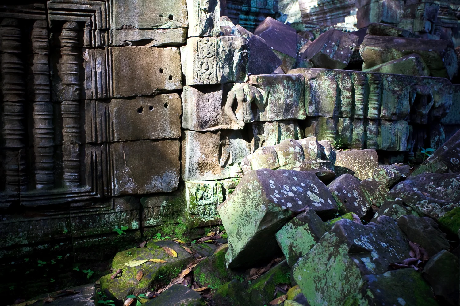 Ta Prohm Temple, Angkor, Cambodia