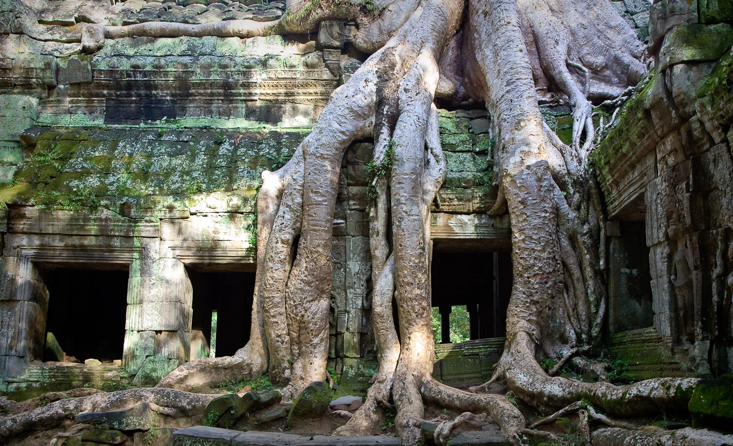 Ta Prohm Temple, Angkor, Cambodia