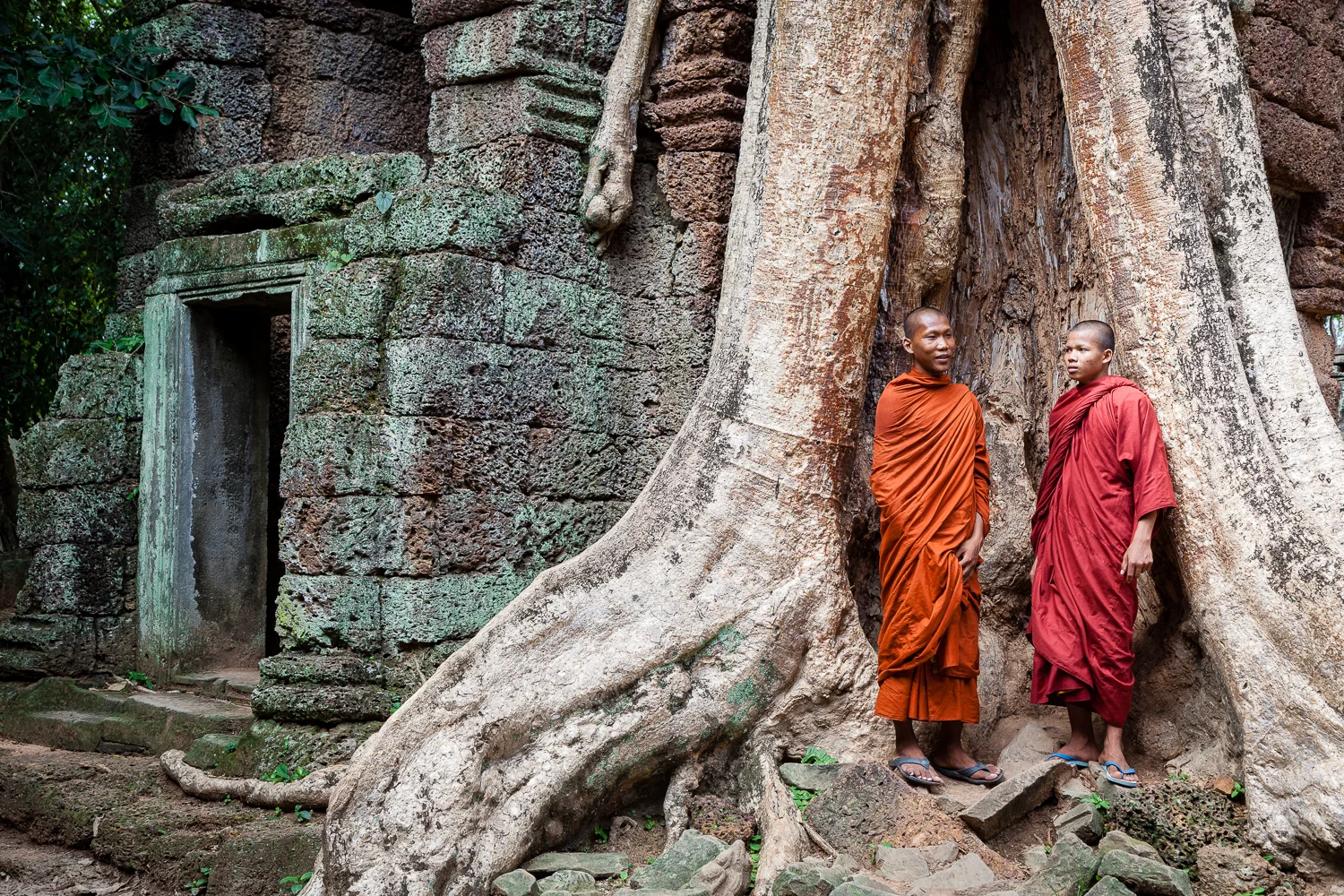 Ta Prohm Temple, Angkor, Cambodia