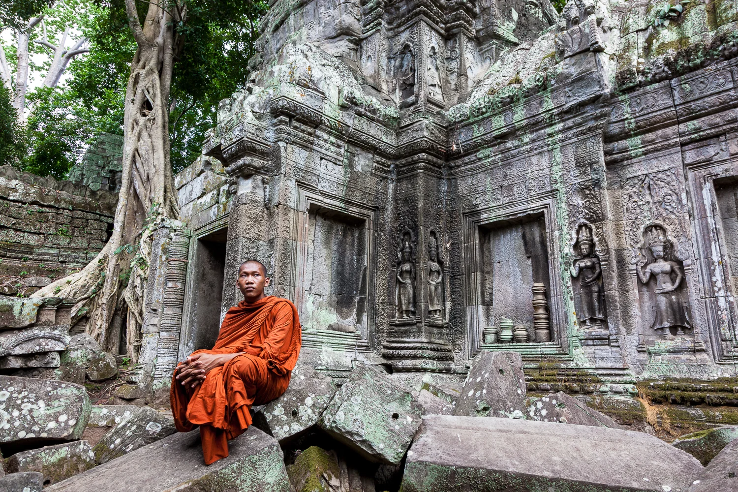 Ta Prohm Temple, Angkor, Cambodia
