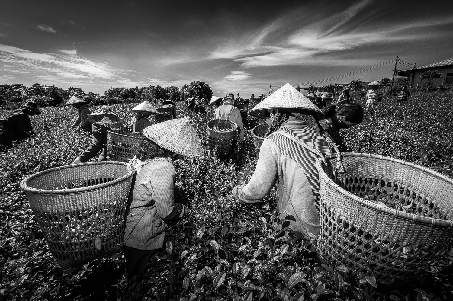 Bao Loc, Vietnam 2011