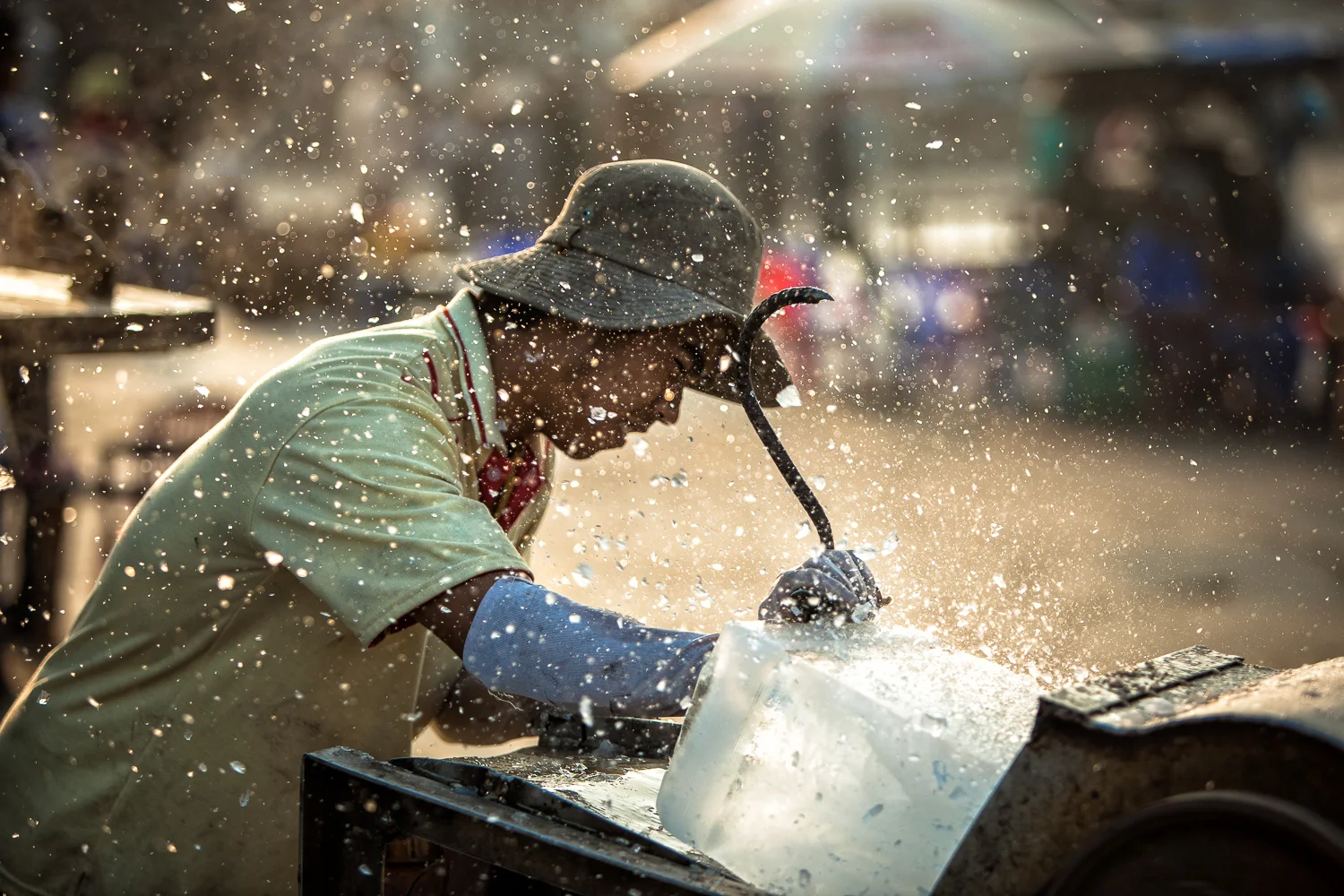 Long Hai Fish Market, Vietnam 2009