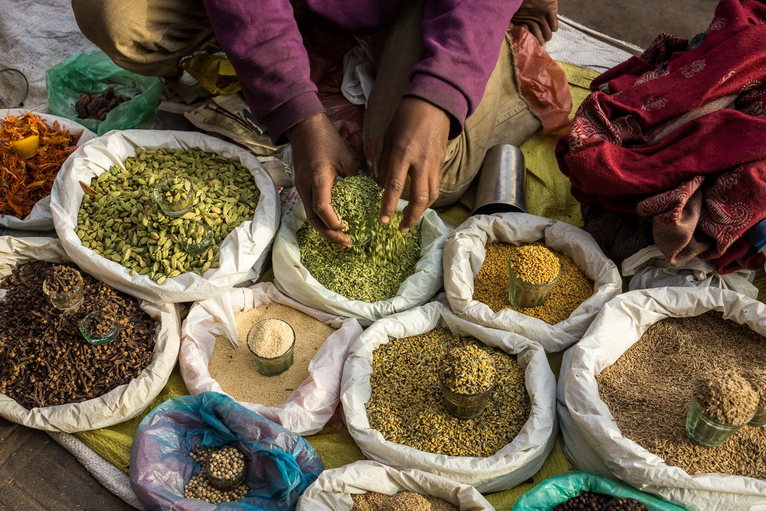 Delhi-20120304-0812.jpg